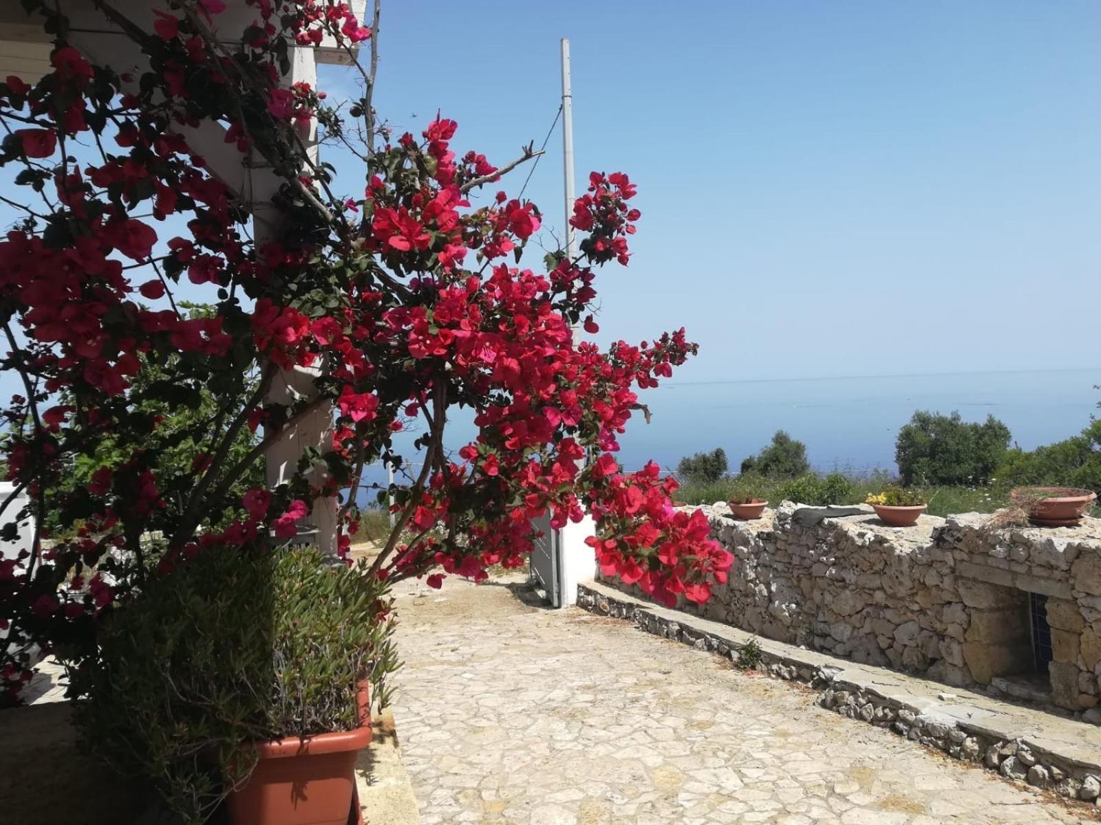 Villa Azzurrosalento Marina Serra Exterior foto