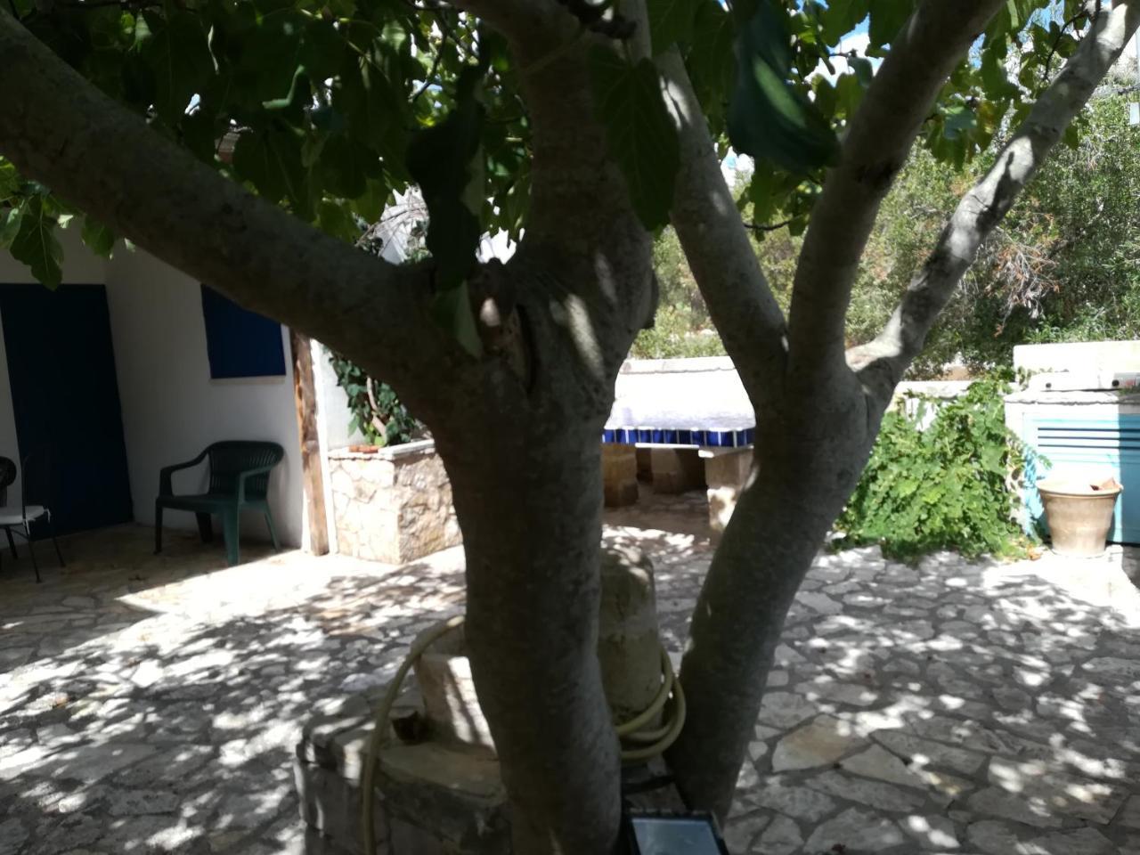 Villa Azzurrosalento Marina Serra Exterior foto